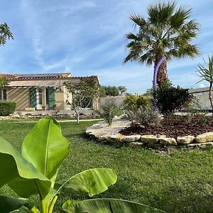 Villa Le Palmier De Mira - Entre Uzege Et Cevennes Saint-Chaptes Exterior photo