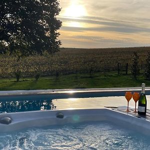 Ferienwohnung Best View, Pool And Spa On The Champagne Vineyard Saint-Thierry Exterior photo