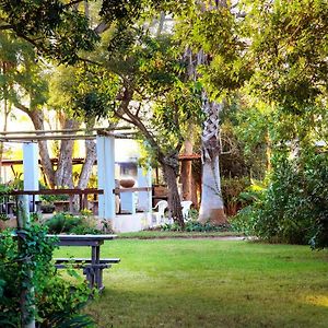 Bed and Breakfast Rosedale Organic Farm Bed & Breakfast Addo Exterior photo