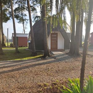 Villa Domo Las Araucarias Negrete Exterior photo