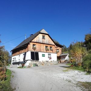 Bed and Breakfast Landhaus Gschmeidler Selzthal Exterior photo