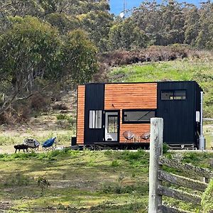 Gasthaus Adina Tiny House Bruny Island South Bruny Exterior photo