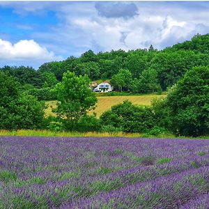 Bed and Breakfast Bounetis Bas Chambre D'Hotes Lauzerte Exterior photo