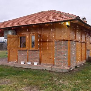 Villa Vikendica Jelena Mionica Exterior photo