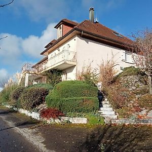 Villa Zoulysse Hautecour Hautecour  Exterior photo