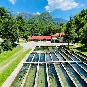 Hotel Perroi Shqiptar Decan Exterior photo