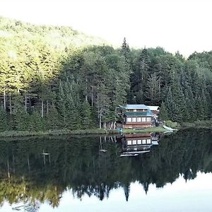 Villa Middle Pond Cabin- Direct Atv & Snowmobile Access Pittsburg Exterior photo