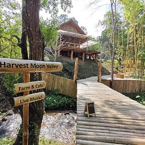 Villa Harvest Moon Valley Ban Pang Luang Exterior photo