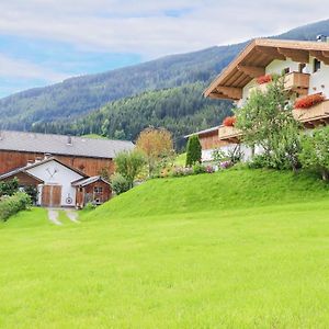 Ferienwohnung Klausenstein Gutshof Hollersbach Hollersbach im Pinzgau Exterior photo