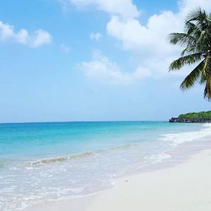 Ferienwohnung - Les Pieds Dans L'Eau A 50M De La Plage, Cote Mer Caraibe - Domaine De L'Anse Caritan - Sainte-Anne - Exterior photo