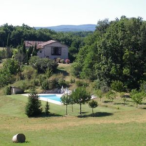 Villa La Petite Toscane, Gite Familial Avec Piscine Et Jacuzzi Castelnau-de-Montmiral Exterior photo