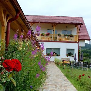 Hotel Pensiunea Poezii Alese Valea Drăganului Exterior photo