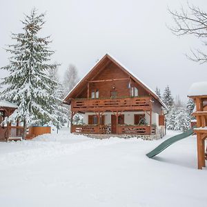 Villa Kamilla Vendeghaz Borzont Exterior photo