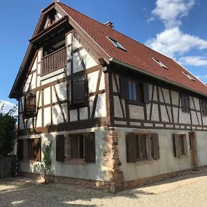 Ferienwohnung Paisible Logement Tout Equipe Pour 1 A 6 Personnes Ebersheim Exterior photo