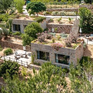 Bed and Breakfast Blue Jay Valley Jezzîne Exterior photo