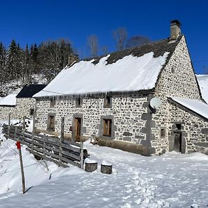 Villa Maison De Campagne Spacieuse A Chastreix Avec Cheminee Exterior photo