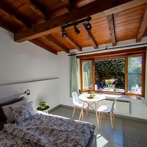 Rustico Al Sole - Just Renewed 1Bedroom Home In Ronco Sopra Ascona Exterior photo