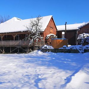 Hotel Borlova /Muntele Mic Exterior photo