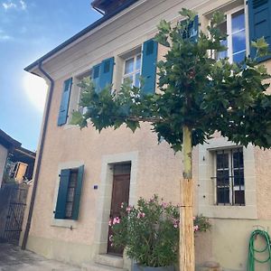 Villa Charming Vinyard House - Lake Geneva Mont-sur-Rolle Exterior photo