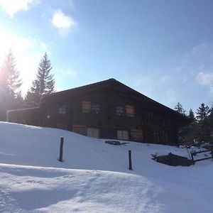 Villa Romantisches Plaetzchen In Der Natur Grindelwald Exterior photo