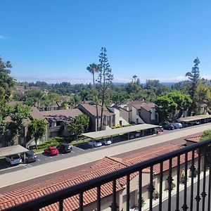 Southern California Living, Sun, Fun, And Dinning. Laguna Hills Exterior photo