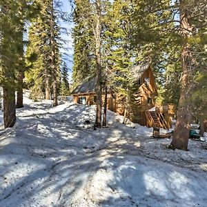 Villa Bear Valley Cabin - Ski To Cross Country Trails! Tamarack Exterior photo