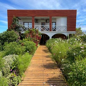 Bed and Breakfast Teanehi Bed&Breakfast Hanga Roa Exterior photo