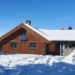 Villa Cozy Log Cabin At Beautiful Nystolsfjellet Gol Exterior photo