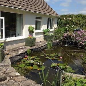 Bed and Breakfast Ty Coed De Haverfordwest Exterior photo