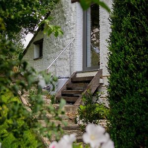 Hotel Gite « Le Sault-Poket » Walcourt Exterior photo