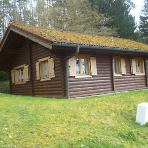 Villa Ferienhaus Chalet Blockhaus Bayern Stamsried Exterior photo