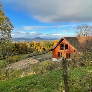 Ferienwohnung Wunderschoenes Gaestehaus Mit Grandioser Aussicht Gempen Exterior photo