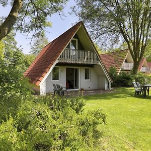 Villa Luxe Familie Woning 'De Boskant' Gramsbergen Exterior photo