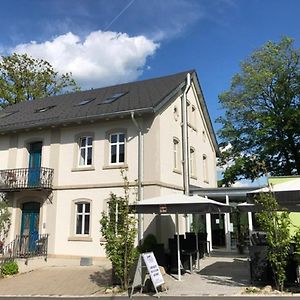 Hotel Das Logierhaus Bad Alexandersbad Exterior photo