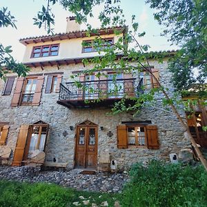 Large Stone Villa with garden. Avlonarion Exterior photo