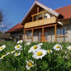 Ferienwohnung Wandertraum Johann - FeWo Eifel Kruft Exterior photo