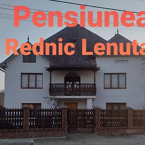 Hotel Pensiunea Rednic Lenuta Giulesti Exterior photo