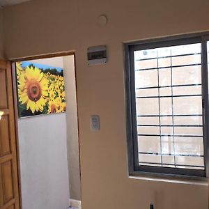 Ferienwohnung Los Girasoles Del Sur Wilde Exterior photo