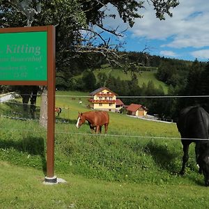 Villa Urlaub Am Bauernhof Familie Kitting Vorau Exterior photo