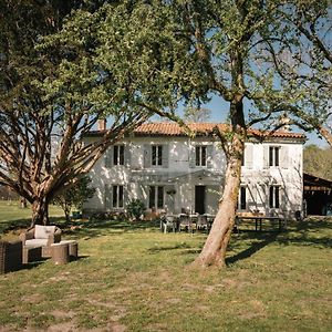 Villa Entre Chenes Et Pins - Gite De Groupe 3 Etoiles Hostens Exterior photo