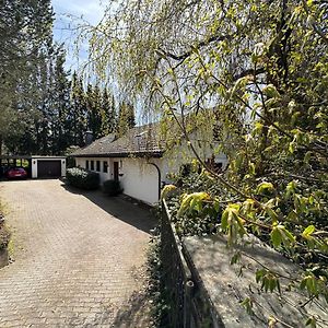 Private Spacious Villa Near Winterberg And Willingen 14 Guests Huge Garden Free Parking For Multiple Cars Olsberg Exterior photo