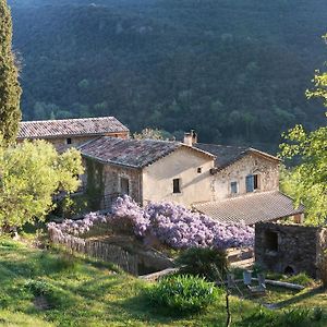 Bed and Breakfast Gite Le Cambon Mialet  Exterior photo