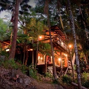 Villa Currumbin Rainforest Treehouse Currumbin Valley Exterior photo