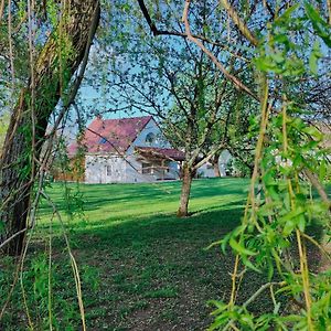 Villa Domaine St Loup - Gite "Le Petit Loup" - 6 Pers- 10Min Beaune Saint-Loup-Geanges Exterior photo