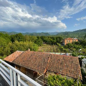 Bed and Breakfast Zaali'S Wine Cellar Vani Exterior photo