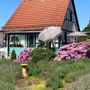 Villa Ferienhaus mit Sauna, Wintergarten und Terrasse im schönen Hochtaunus Glashutten  Exterior photo