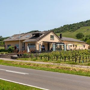 Bed and Breakfast Weingut J. A. Meyer Wintrich Exterior photo