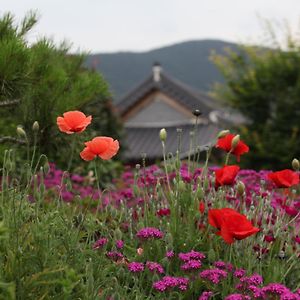 Hotel Mirinae Hanok Tradiational House Gwangyang  Exterior photo