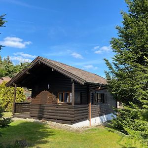 Villa Ferienhaus-Blockhuette Im Fichtelgebirge - Nagler See 2 Km Nagel Exterior photo