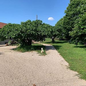 Villa Gite La Longere Bleue Caylus Exterior photo